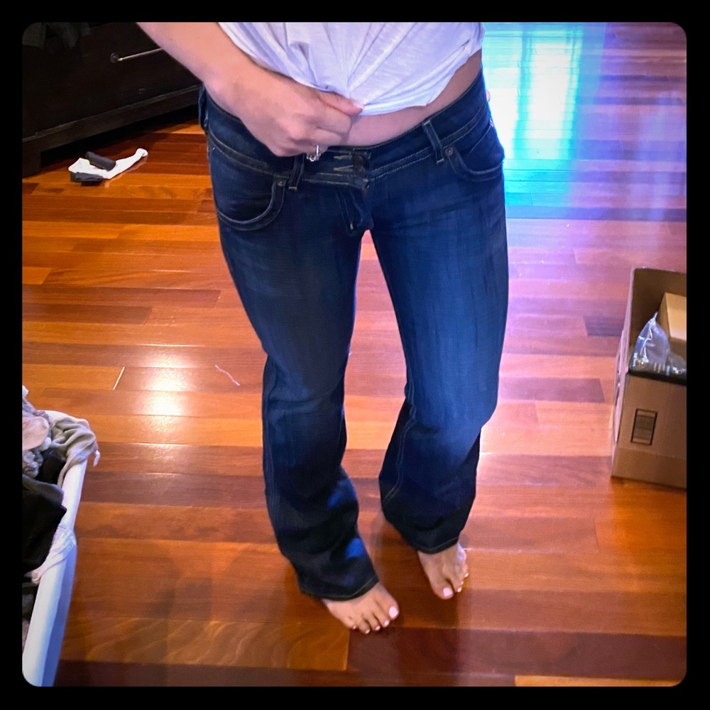 Hudson Flare Jeans (Size 27)